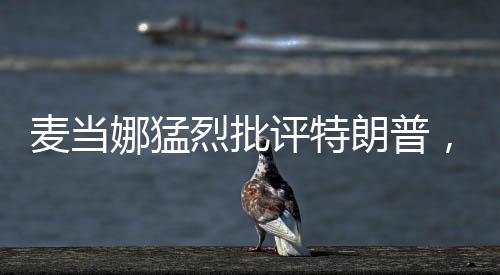 麦当娜猛烈批评特朗普，一个引人瞩目的舆论风暴