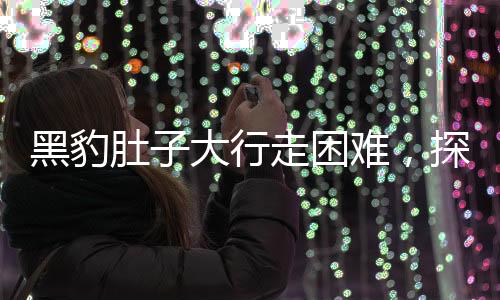 黑豹肚子大行走困难，探寻珍稀物种背后的不寻常故事