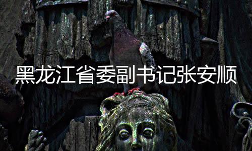 黑龙江省委副书记张安顺履新职，开启新篇章