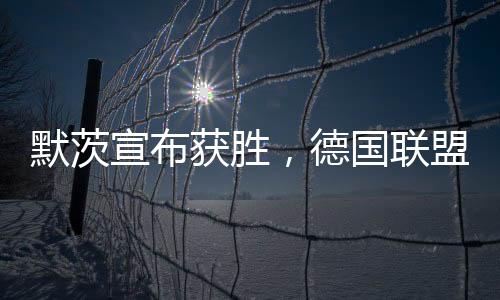 默茨宣布获胜，德国联盟党赢得大选