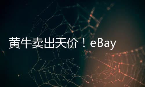 黄牛卖出天价！eBay上RTX 5090最高要9000美元