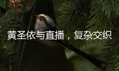 黄圣依与直播，复杂交织的舆论探讨