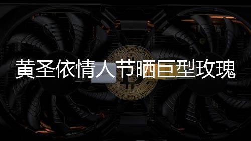 黄圣依情人节晒巨型玫瑰，浪漫惊喜引发网友热议