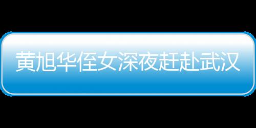 黄旭华侄女深夜赶赴武汉吊唁，缅怀传奇人物的不朽精神