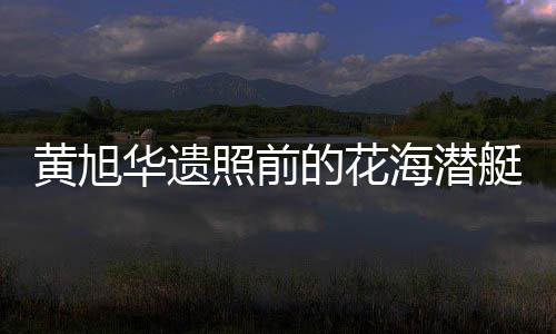 黄旭华遗照前的花海潜艇，缅怀传奇人物的无尽敬意