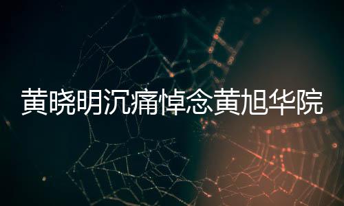 黄晓明沉痛悼念黄旭华院士，共同缅怀科学巨匠