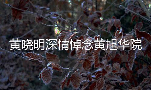 黄晓明深情悼念黄旭华院士，一生奉献科技事业的杰出代表