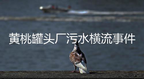 黄桃罐头厂污水横流事件揭秘