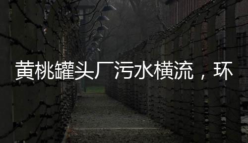 黄桃罐头厂污水横流，环保问题亟待解决