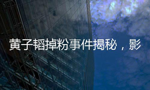 黄子韬掉粉事件揭秘，影响力骤减背后的真相，掉粉已超400万