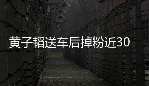 黄子韬送车后掉粉近300万，事件背后的真相与反思