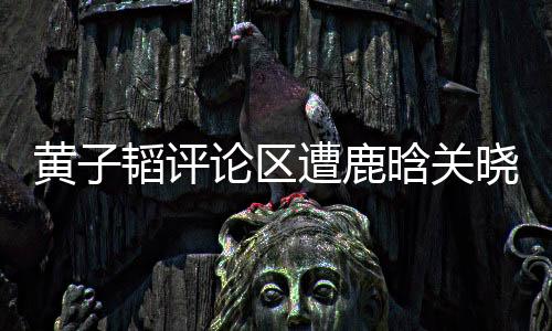 黄子韬评论区遭鹿晗关晓彤粉丝刷屏，引发网友热议