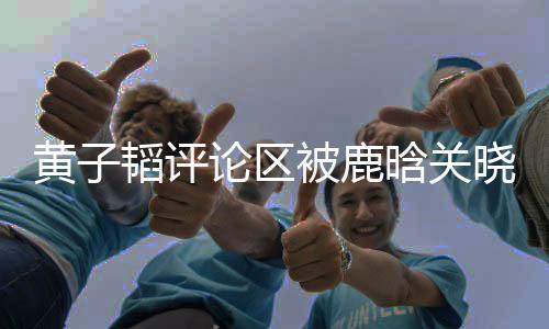 黄子韬评论区被鹿晗关晓彤刷屏，引发网友热议