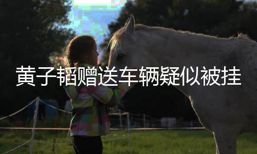 黄子韬赠送车辆疑似被挂二手平台，引发关注热议