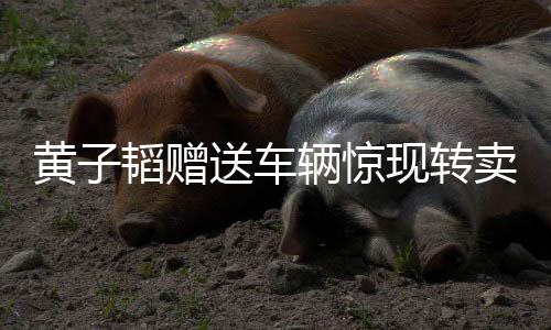 黄子韬赠送车辆惊现转卖传闻，内幕待揭晓
