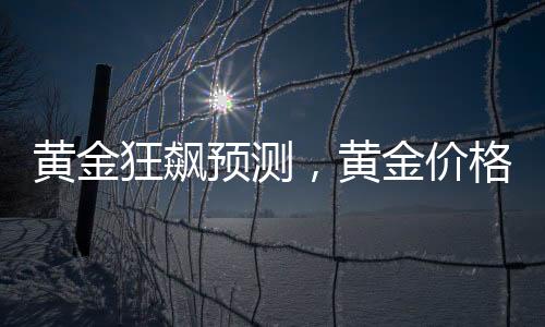 黄金狂飙预测，黄金价格有望突破至5000美元——深度分析与展望