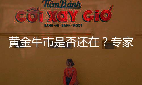 黄金牛市是否还在？专家深度解读