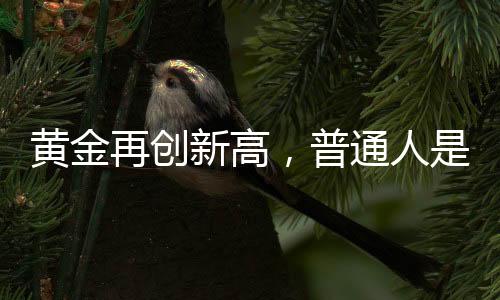 黄金再创新高，普通人是否仍适合投资黄金？