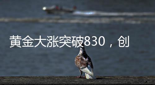 黄金大涨突破830，创出历史新高度！市场掀起新热潮！