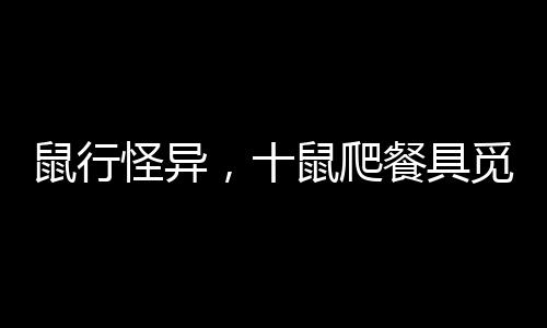 鼠行怪异，十鼠爬餐具觅食引热议事件探微