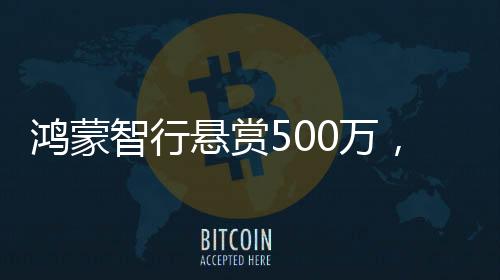 鸿蒙智行悬赏500万，开启智能出行新纪元的一揽子计划