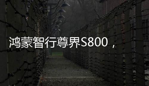鸿蒙智行尊界S800，一款引领未来的智能座驾，预计上半年隆重上市