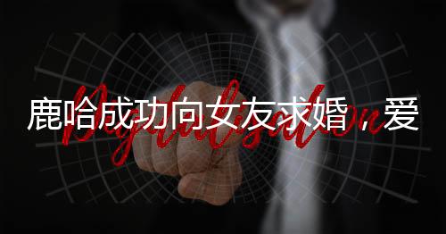 鹿哈成功向女友求婚，爱情事业双丰收引发热议