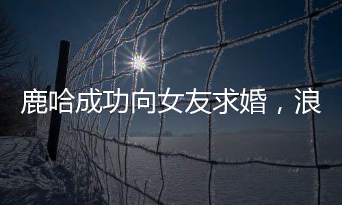 鹿哈成功向女友求婚，浪漫瞬间引爆全网热议