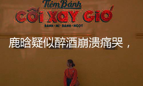 鹿晗疑似醉酒崩溃痛哭，引发粉丝关切