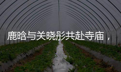 鹿晗与关晓彤共赴寺庙，探寻内心宁静之道
