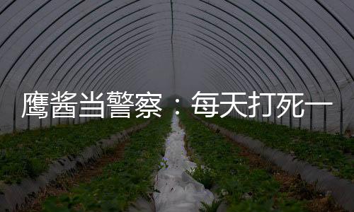 鹰酱当警察：每天打死一个小黑！