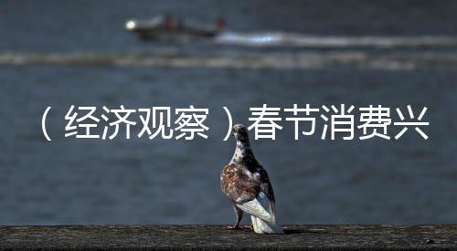（经济观察）春节消费兴起“文化热” 文旅市场创意无限