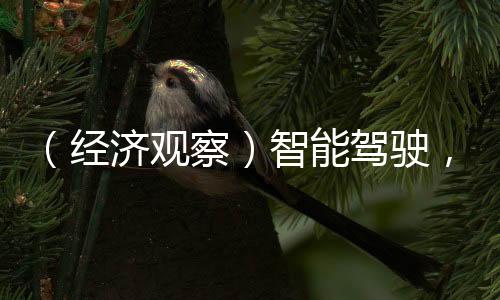 （经济观察）智能驾驶，中国车企的“新赛场”