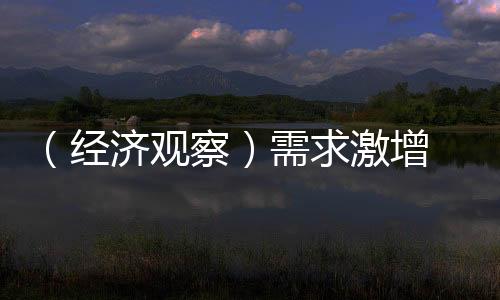 （经济观察）需求激增 中国算力产业加速生长