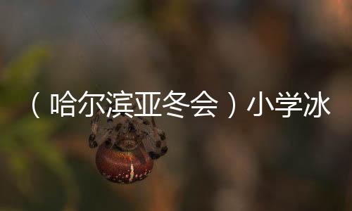 （哈尔滨亚冬会）小学冰球馆化身亚冬冰壶馆获点赞
