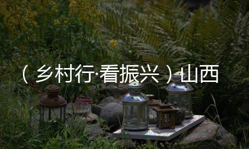 （乡村行·看振兴）山西高平：大棚蔬菜育苗忙  万象“耕”新绘“丰”景