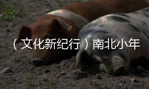 （文化新纪行）南北小年为何“打开方式”不同？