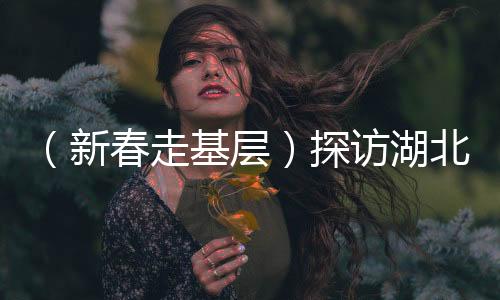 （新春走基层）探访湖北云梦县博物馆：让历史文化“触手可及”