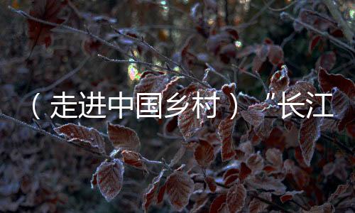 （走进中国乡村）“长江蔬菜岛”的飞行故事