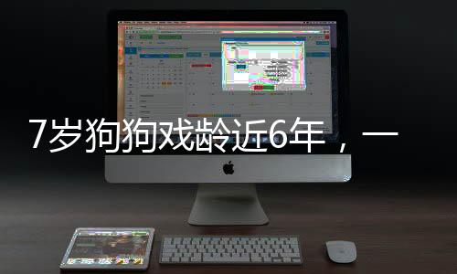 7岁狗狗戏龄近6年，一位演艺界的特殊明星