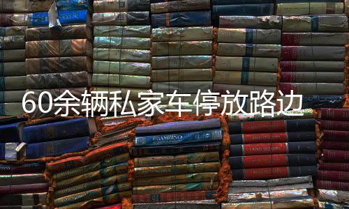 60余辆私家车停放路边后视镜遭破坏事件深度解析