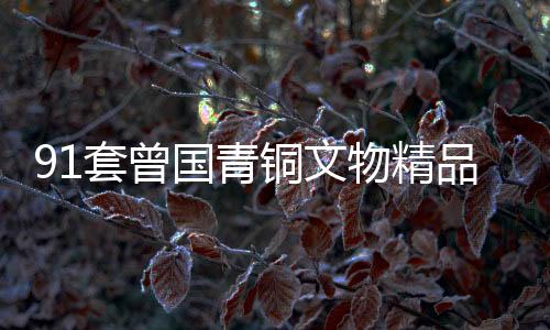 91套曾国青铜文物精品亮相广西南宁