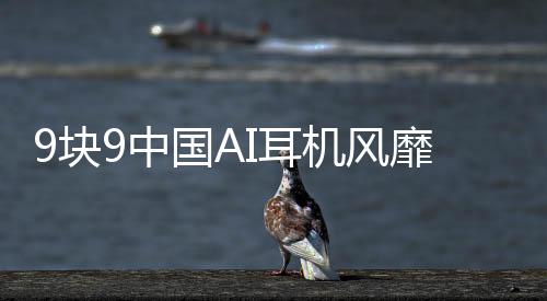 9块9中国AI耳机风靡全球，老外争相抢购