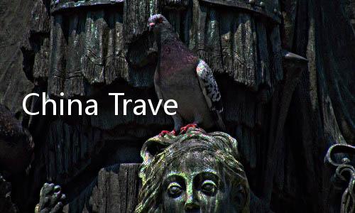 China Travel邂逅中国年，一场别开生面的文化之旅