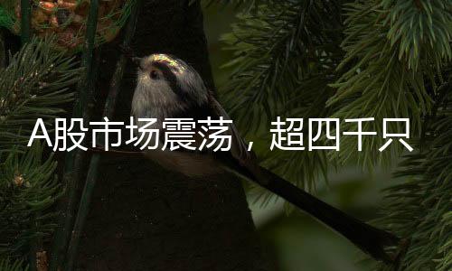 A股市场震荡，超四千只股票遭遇下跌潮