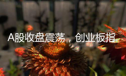 A股收盘震荡，创业板指暴跌3.82%——市场解析