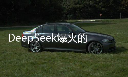DeepSeek爆火的启示，洞悉热门背后的多重因素与发展前景