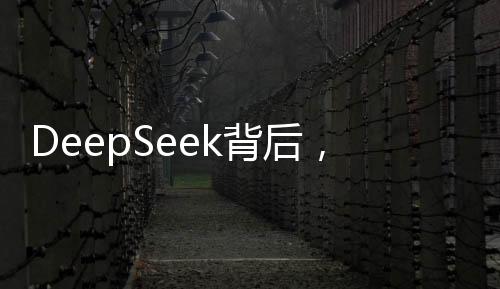 DeepSeek背后，AI正在杀死公司