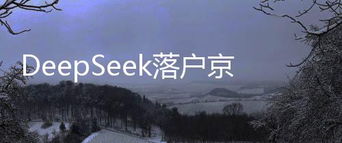 DeepSeek落户京杭大运河畔，融合科技与文化的先锋企业