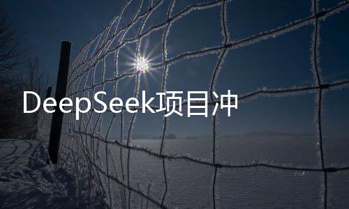 DeepSeek项目冲击结束，未来展望引人瞩目